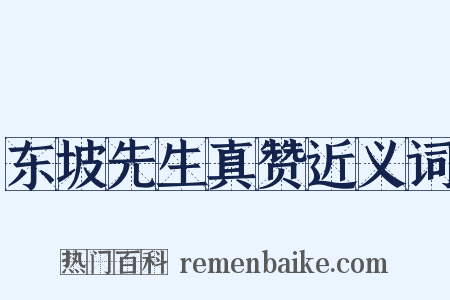 东坡先生真赞近义词是什么意思的图片